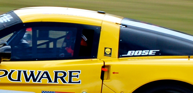 Illustration for article titled The History Of Jake: Corvette Racing's Mascot